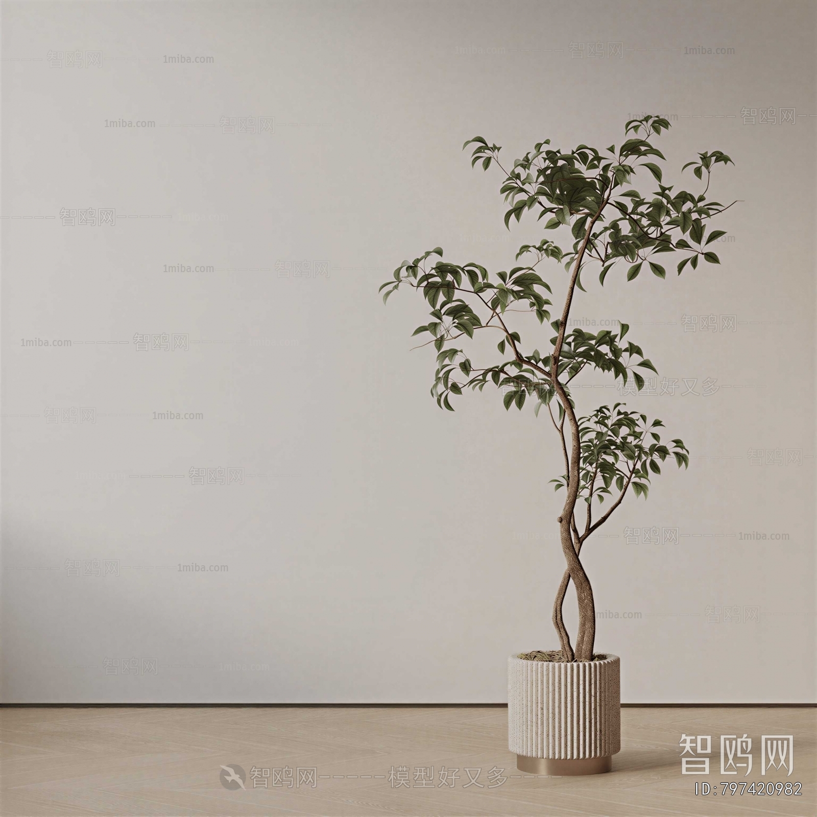 Modern Ground Green Plant Potted Plants