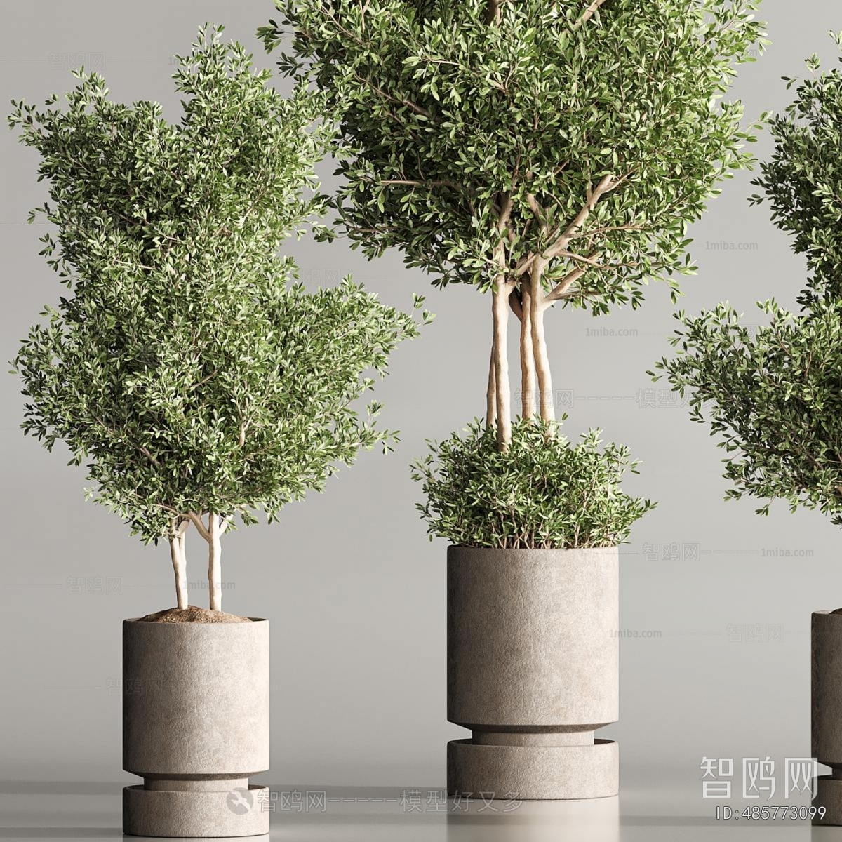 Modern Ground Green Plant Potted Plants