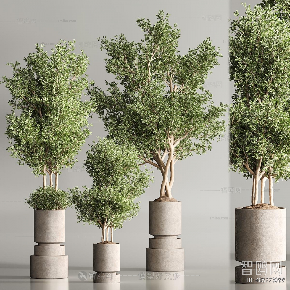 Modern Ground Green Plant Potted Plants