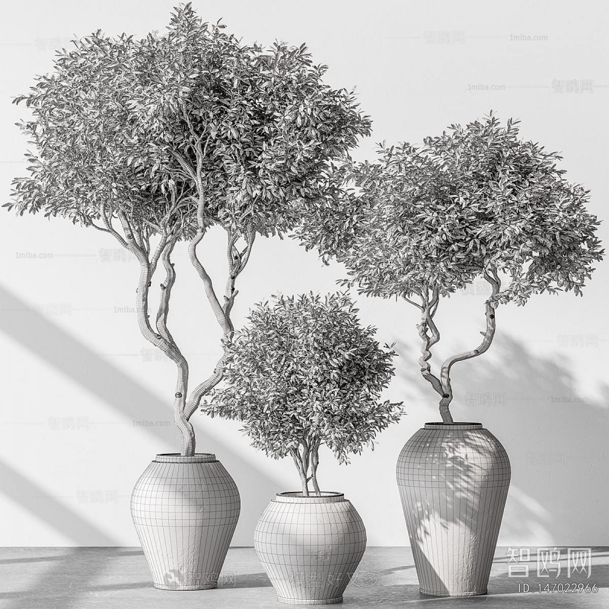 Modern Ground Green Plant Potted Plants