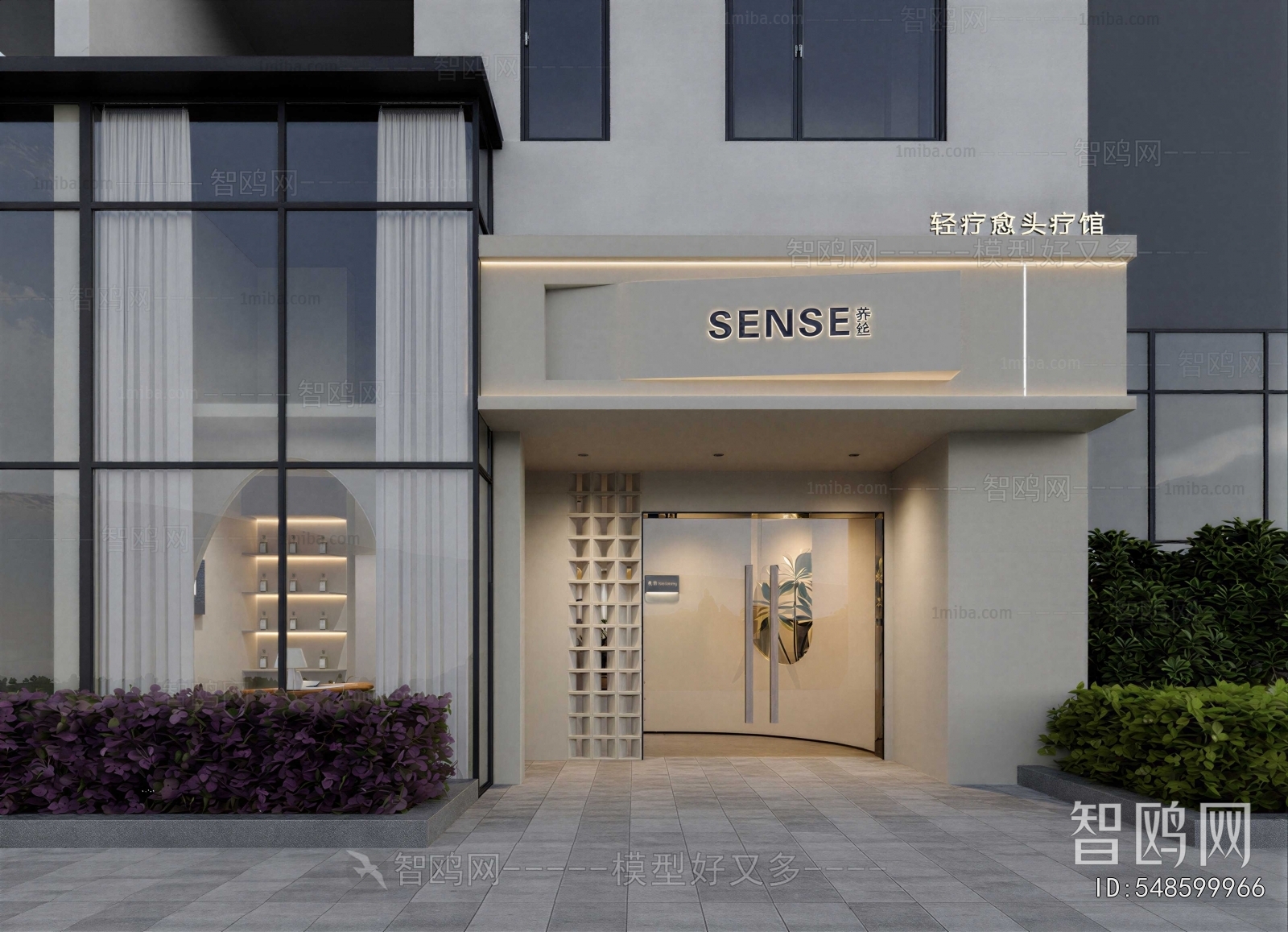 Modern Facade Element