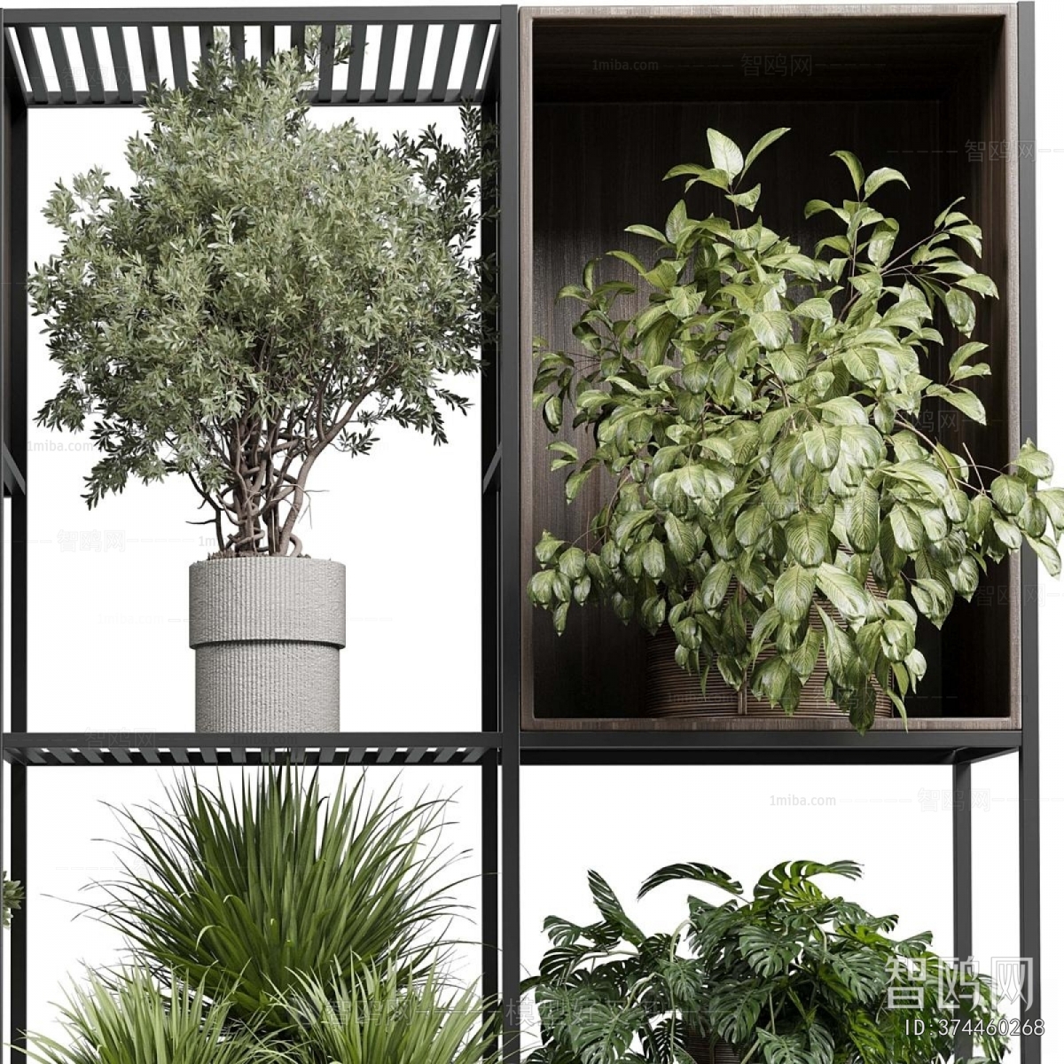 Modern Ground Green Plant Potted Plants