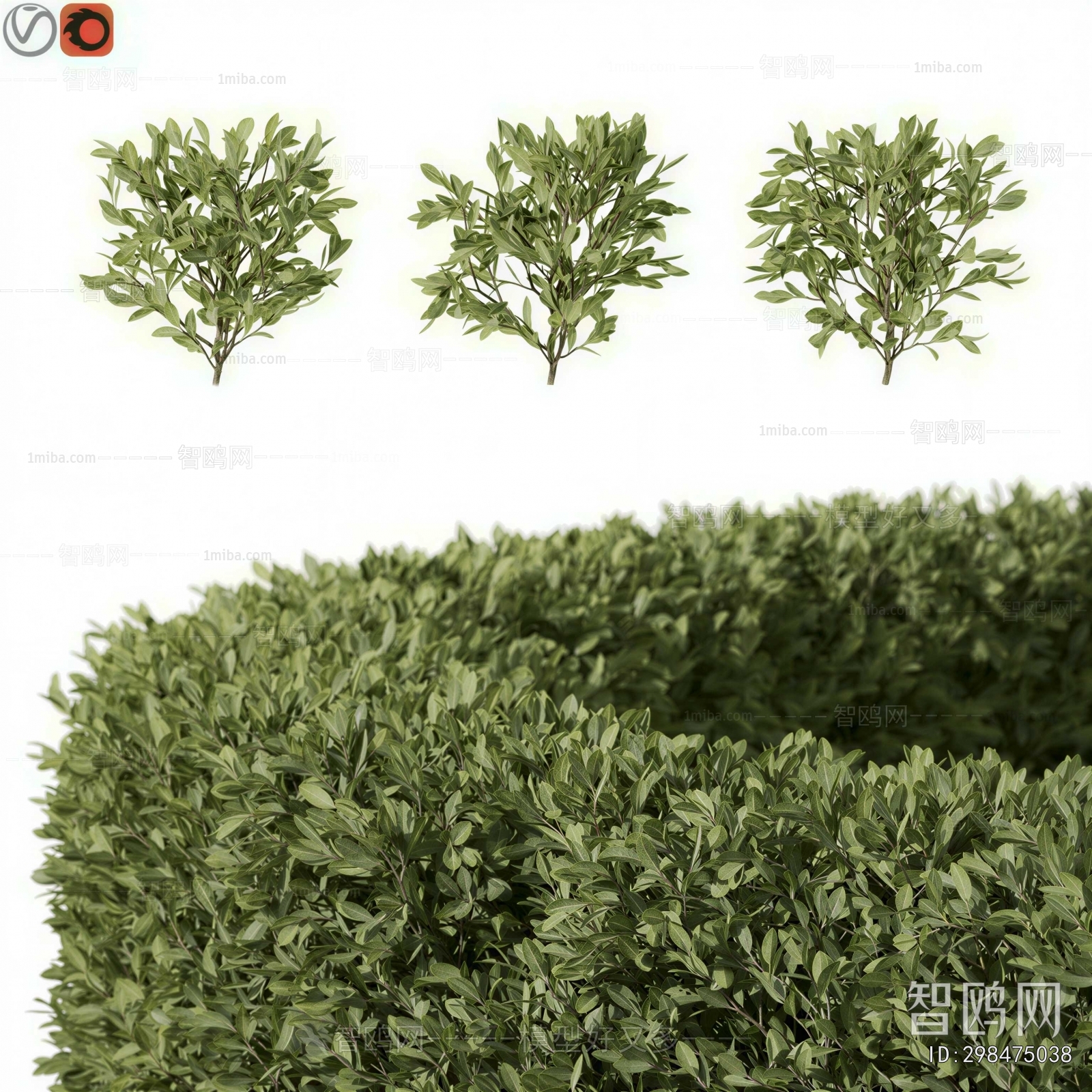Modern Shrubbery