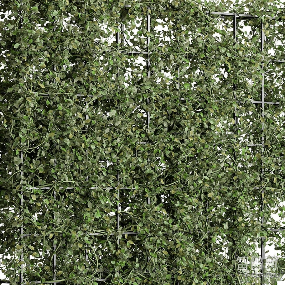 Modern Plant Wall
