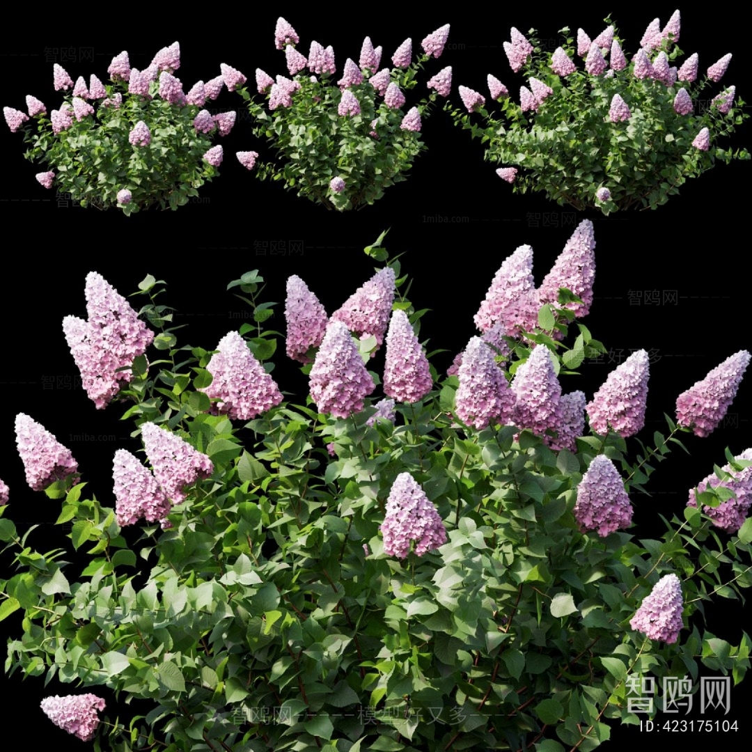 Modern Flowers And Grass