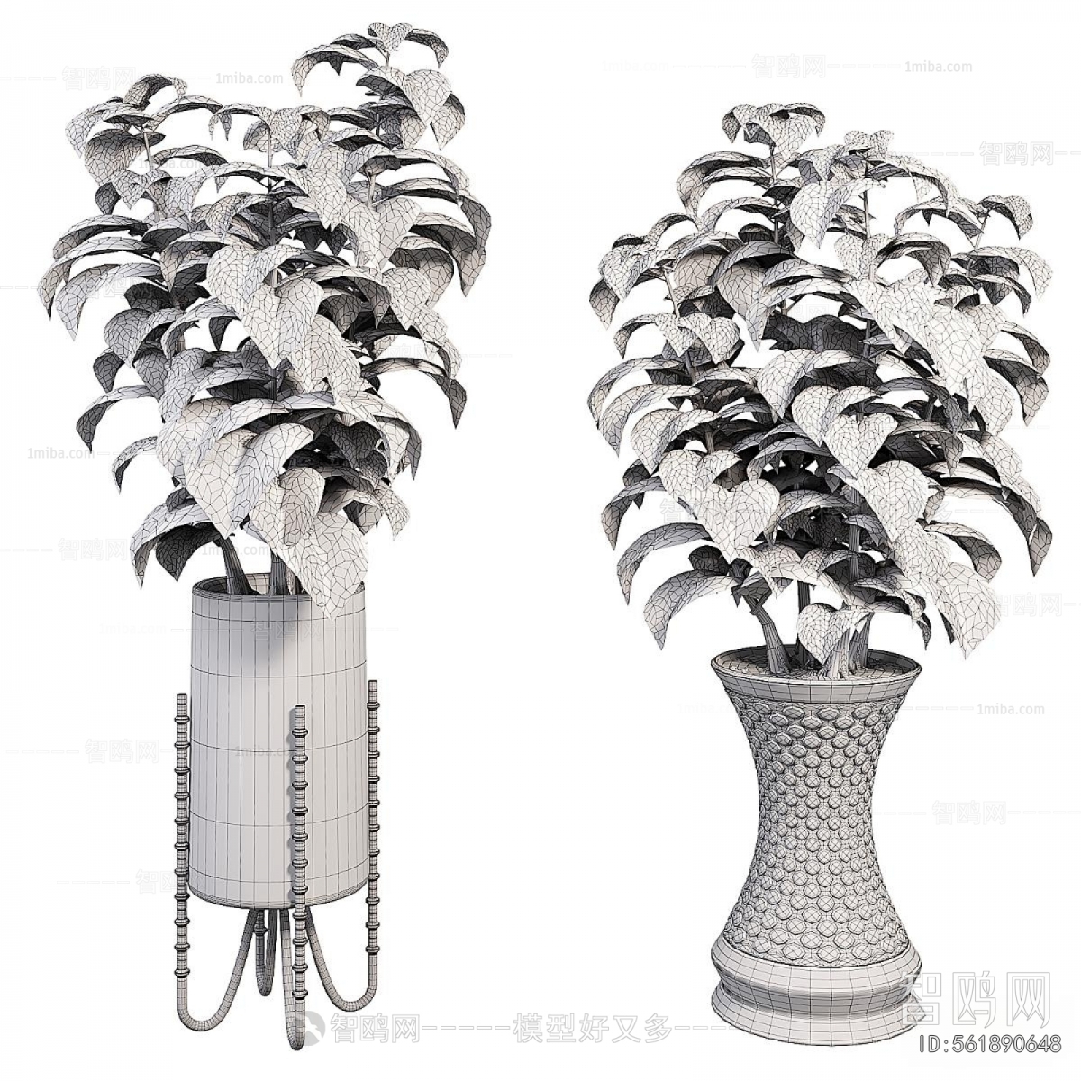 Modern Potted Green Plant