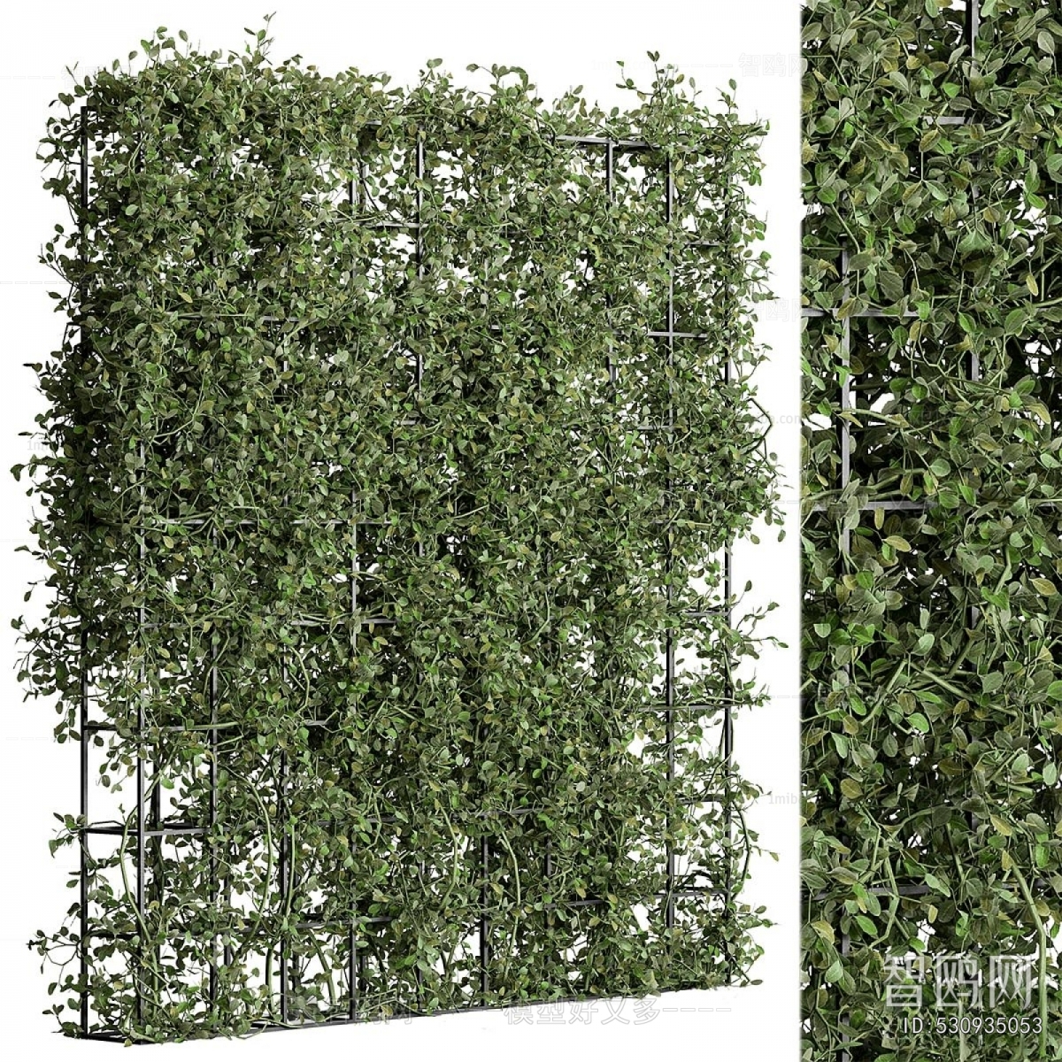Modern Plant Wall