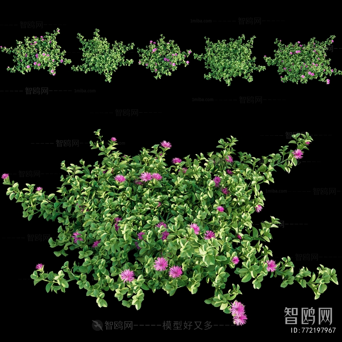 Modern Flowers And Grass