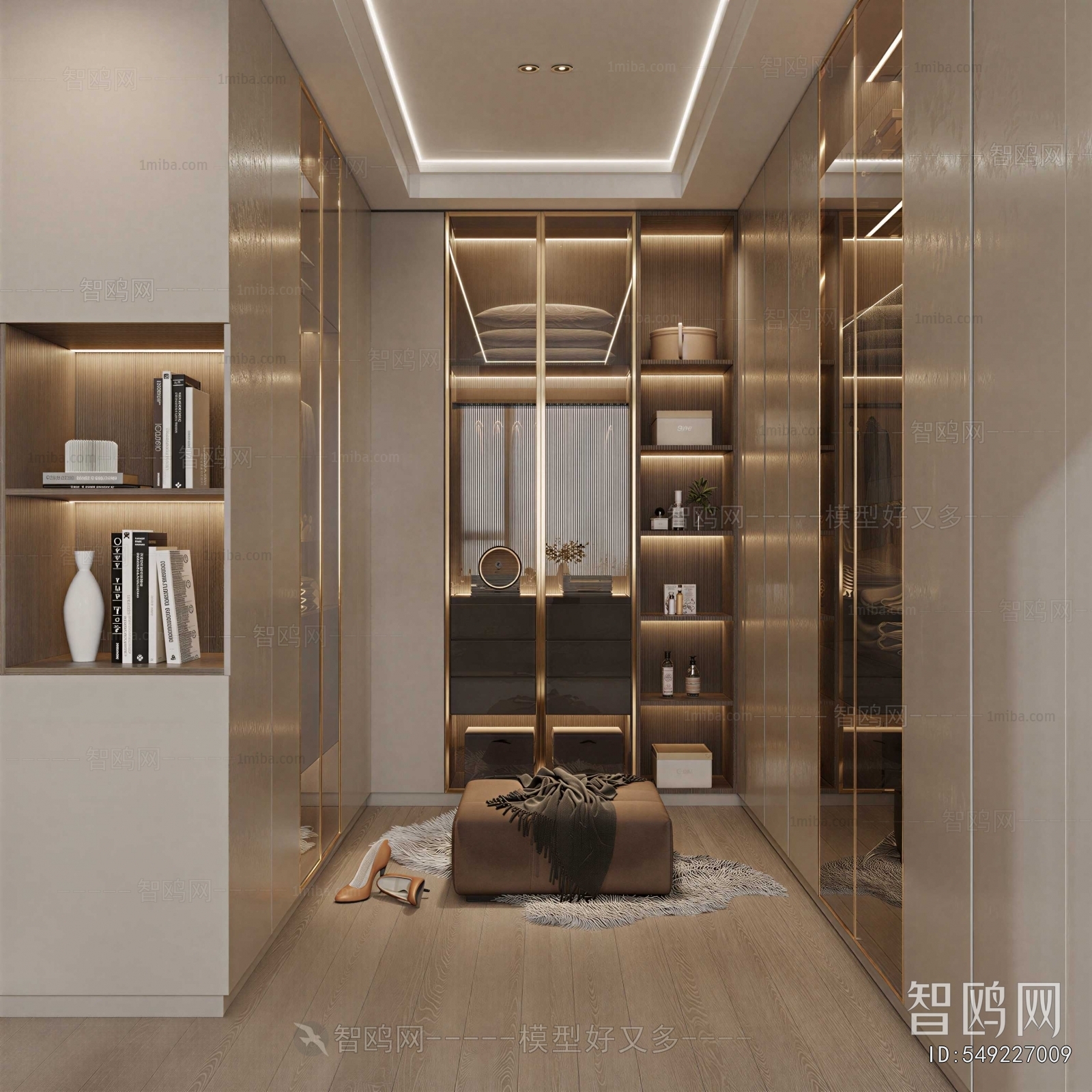 Modern Clothes Storage Area