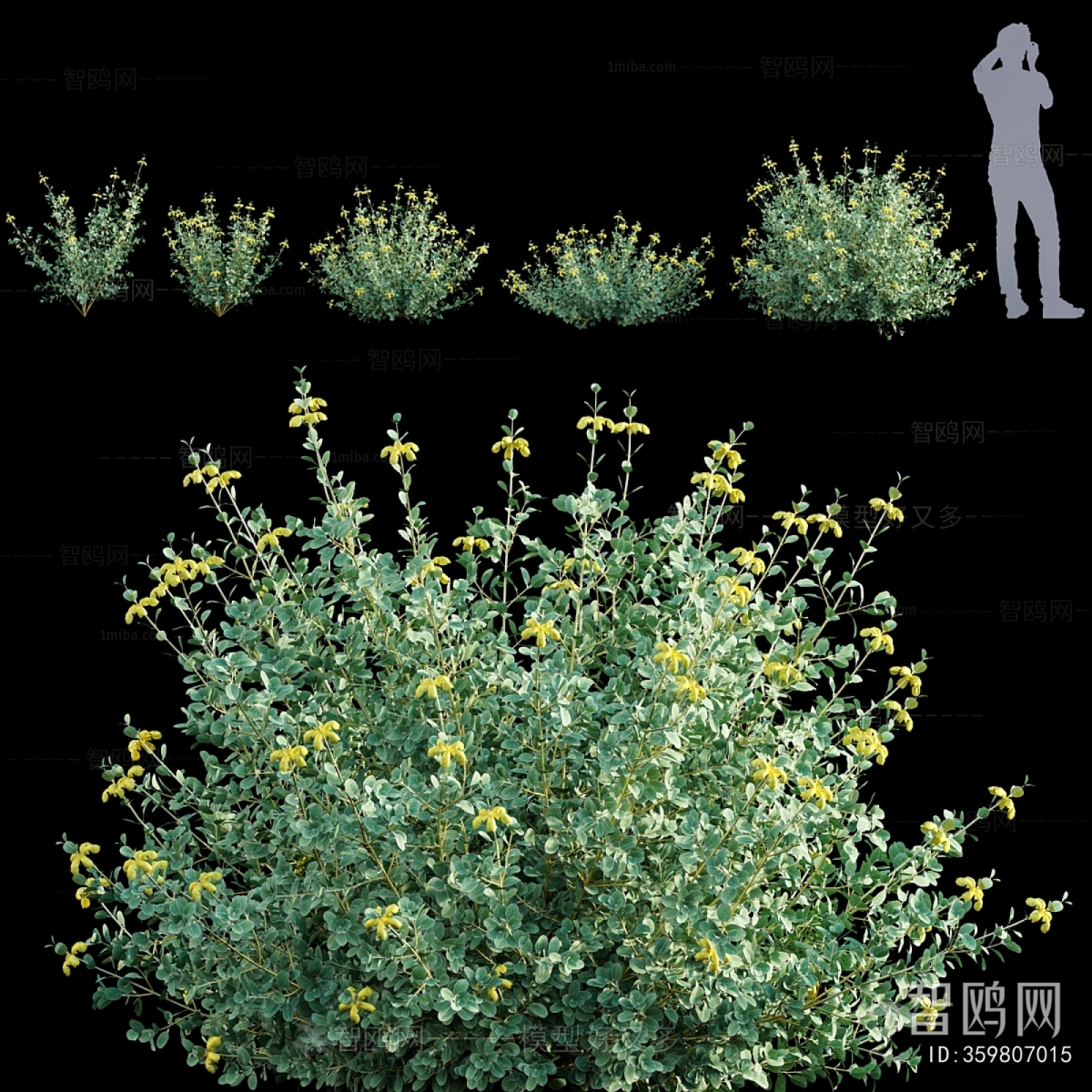 Modern Flowers And Grass