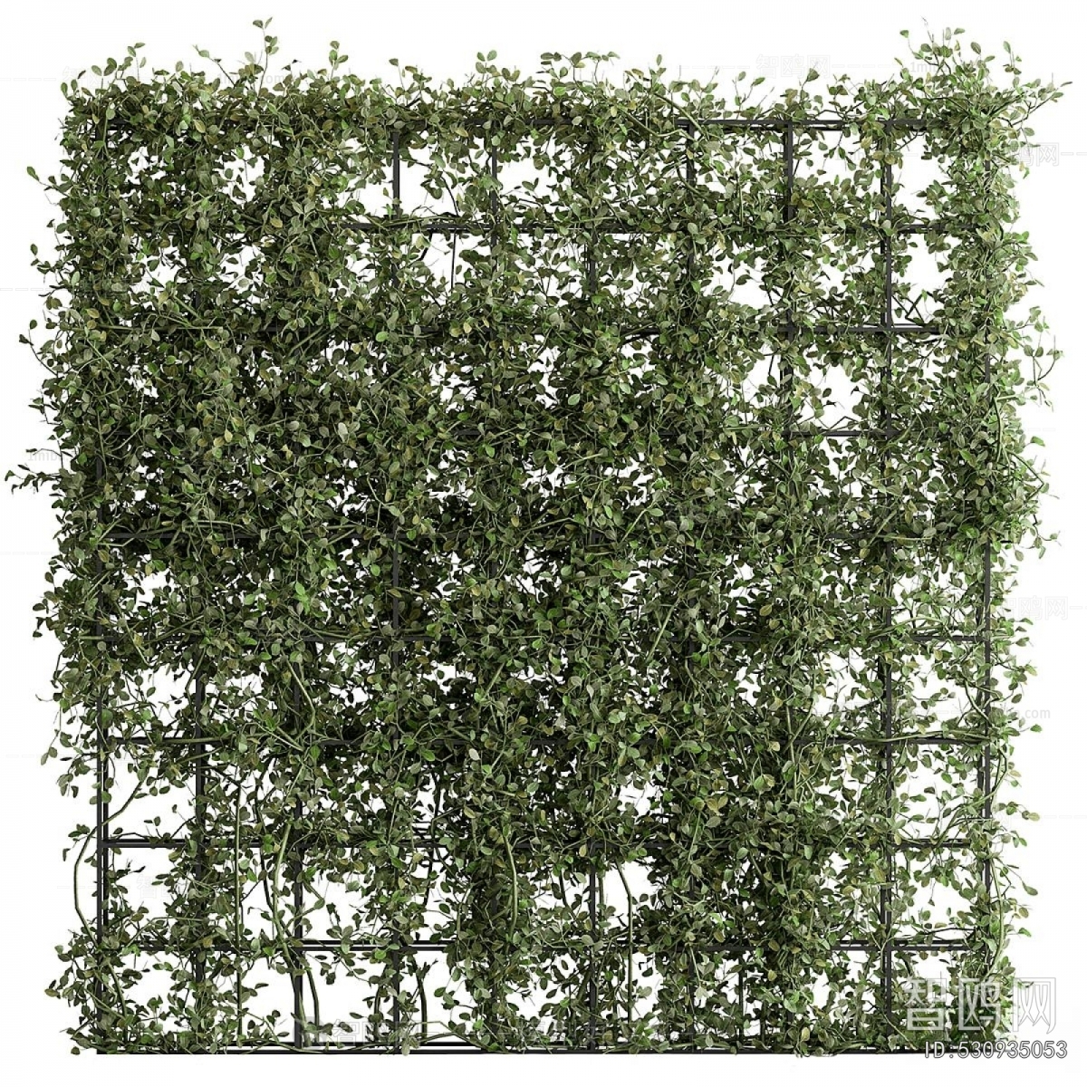 Modern Plant Wall