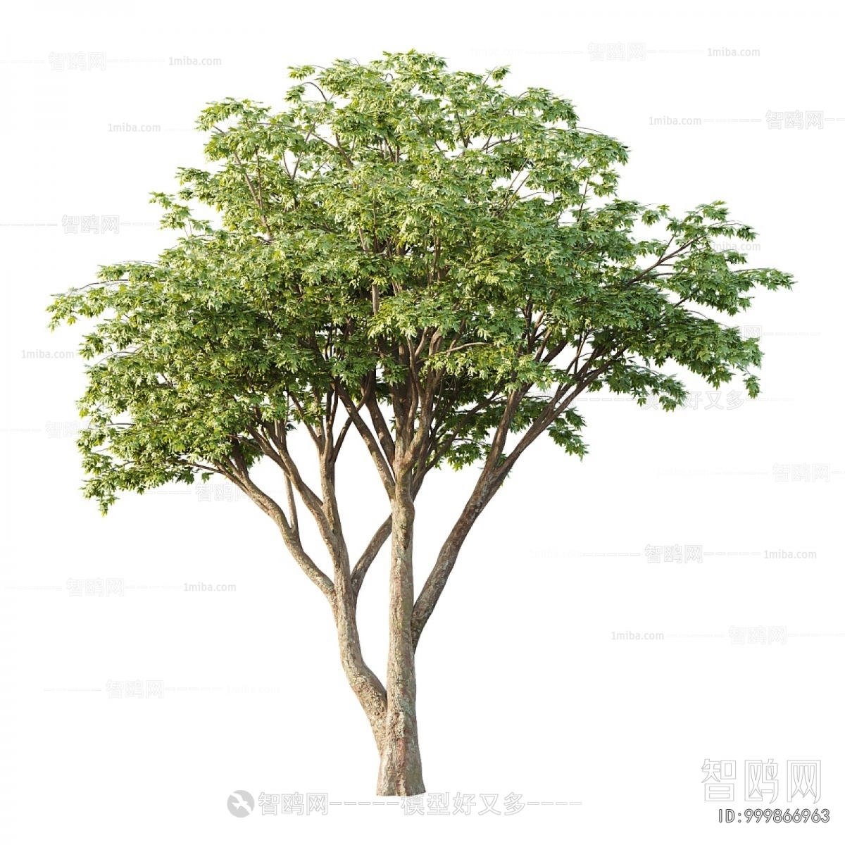 Modern Tree