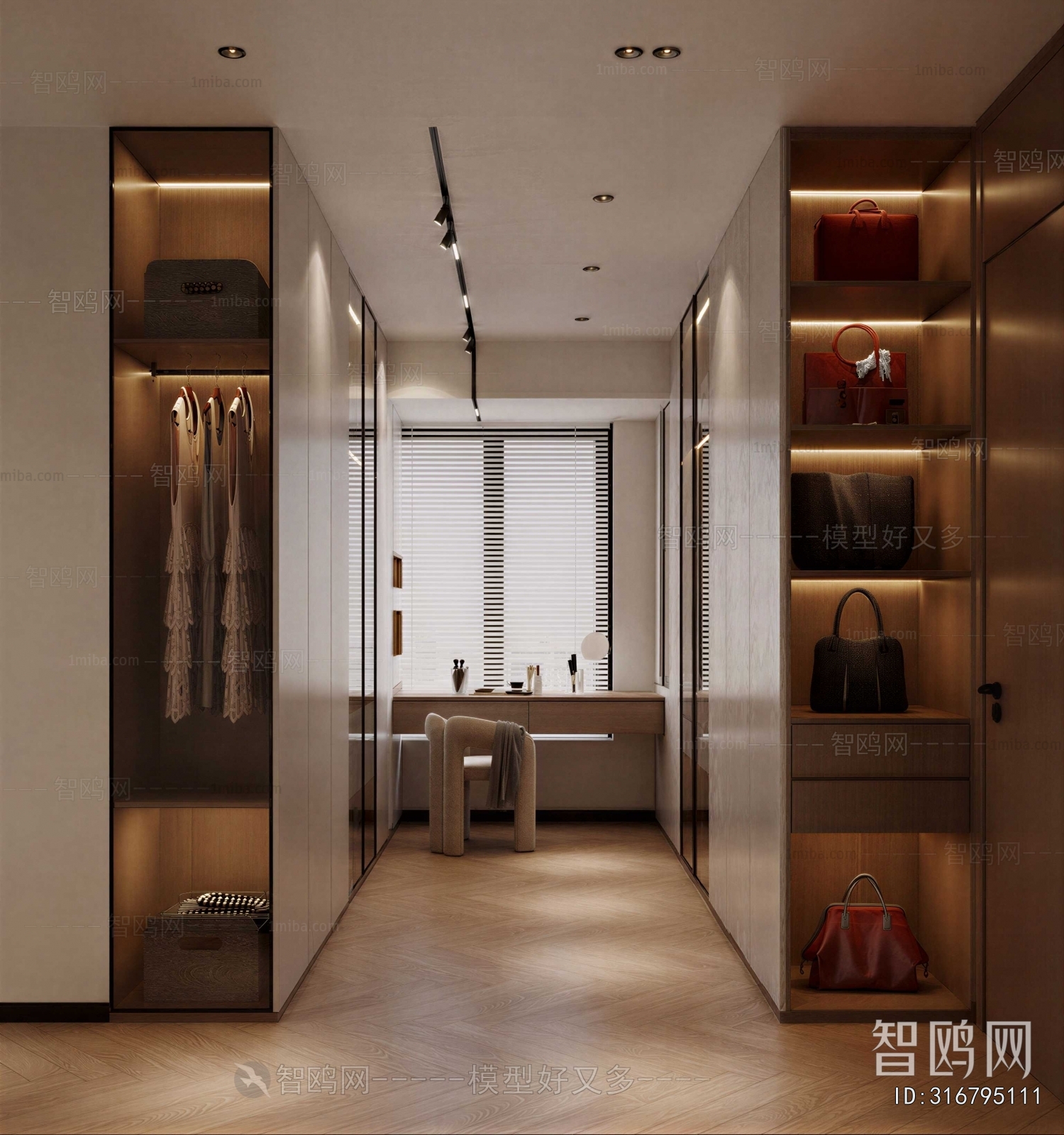 Modern Clothes Storage Area