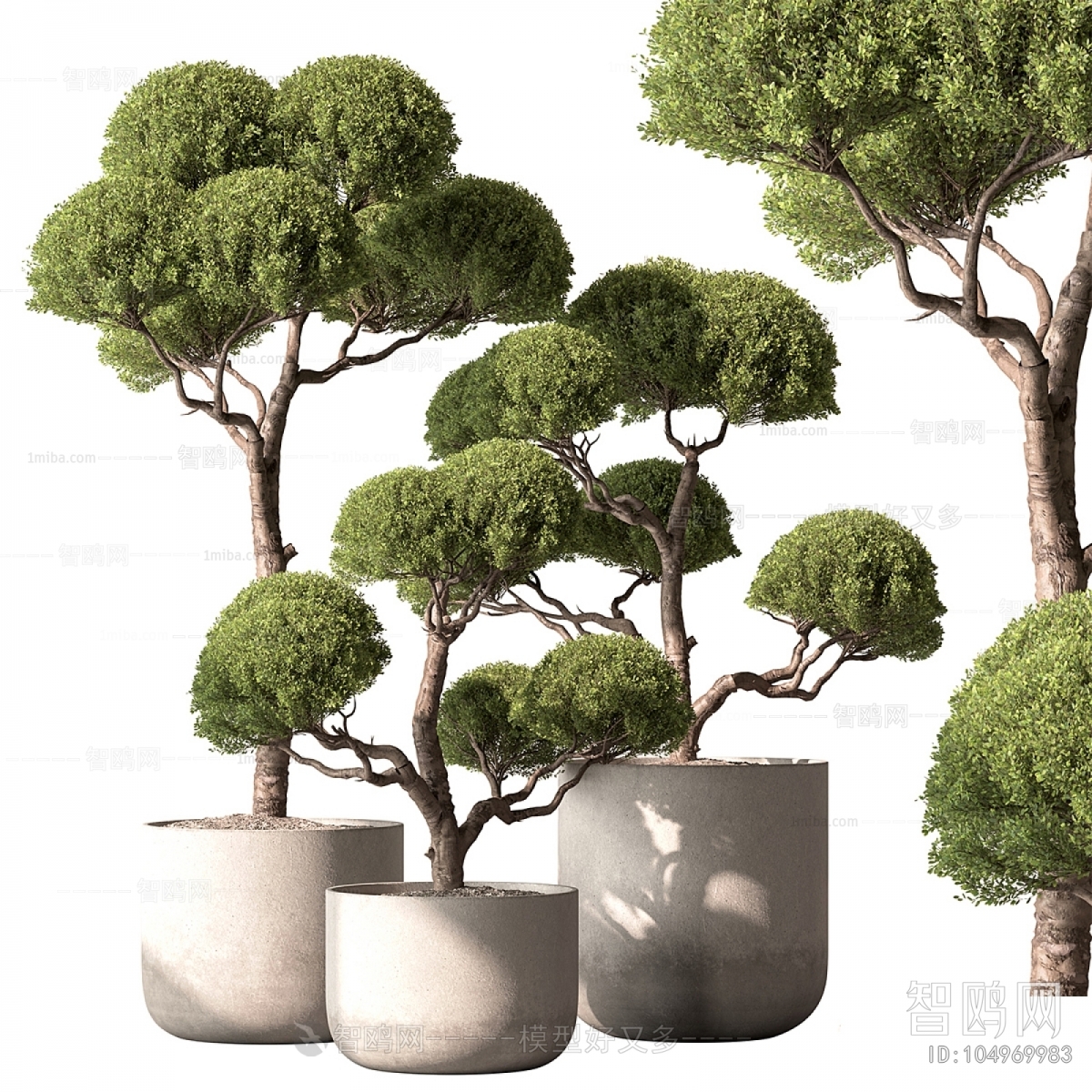 Modern Ground Green Plant Potted Plants