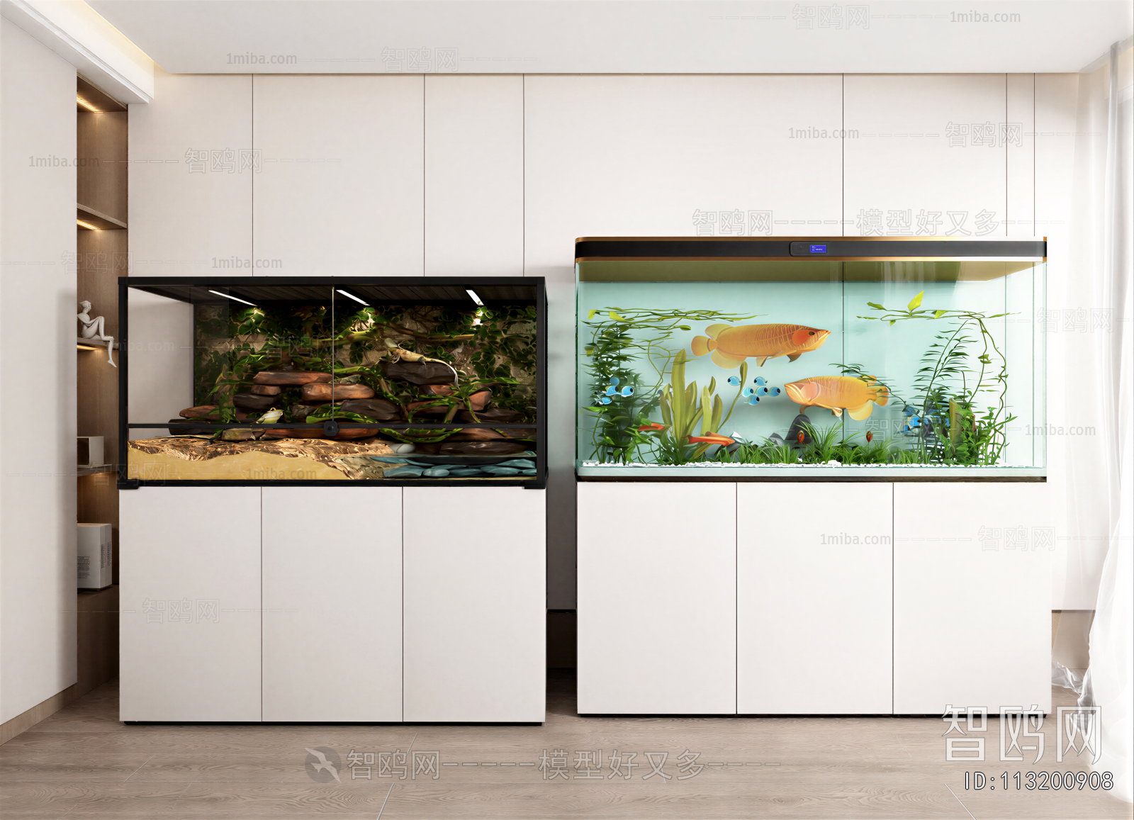 Modern Fish Tank