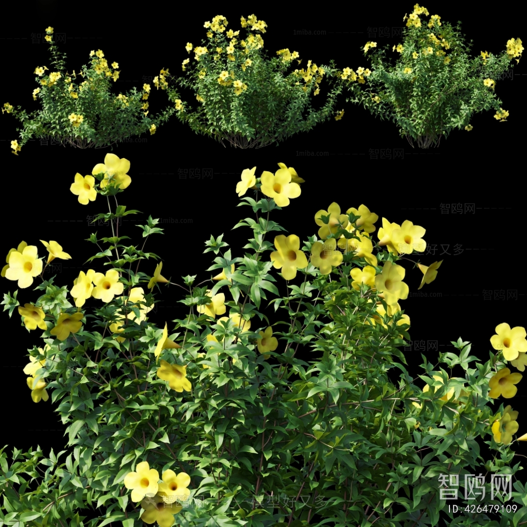 Modern Flowers And Grass