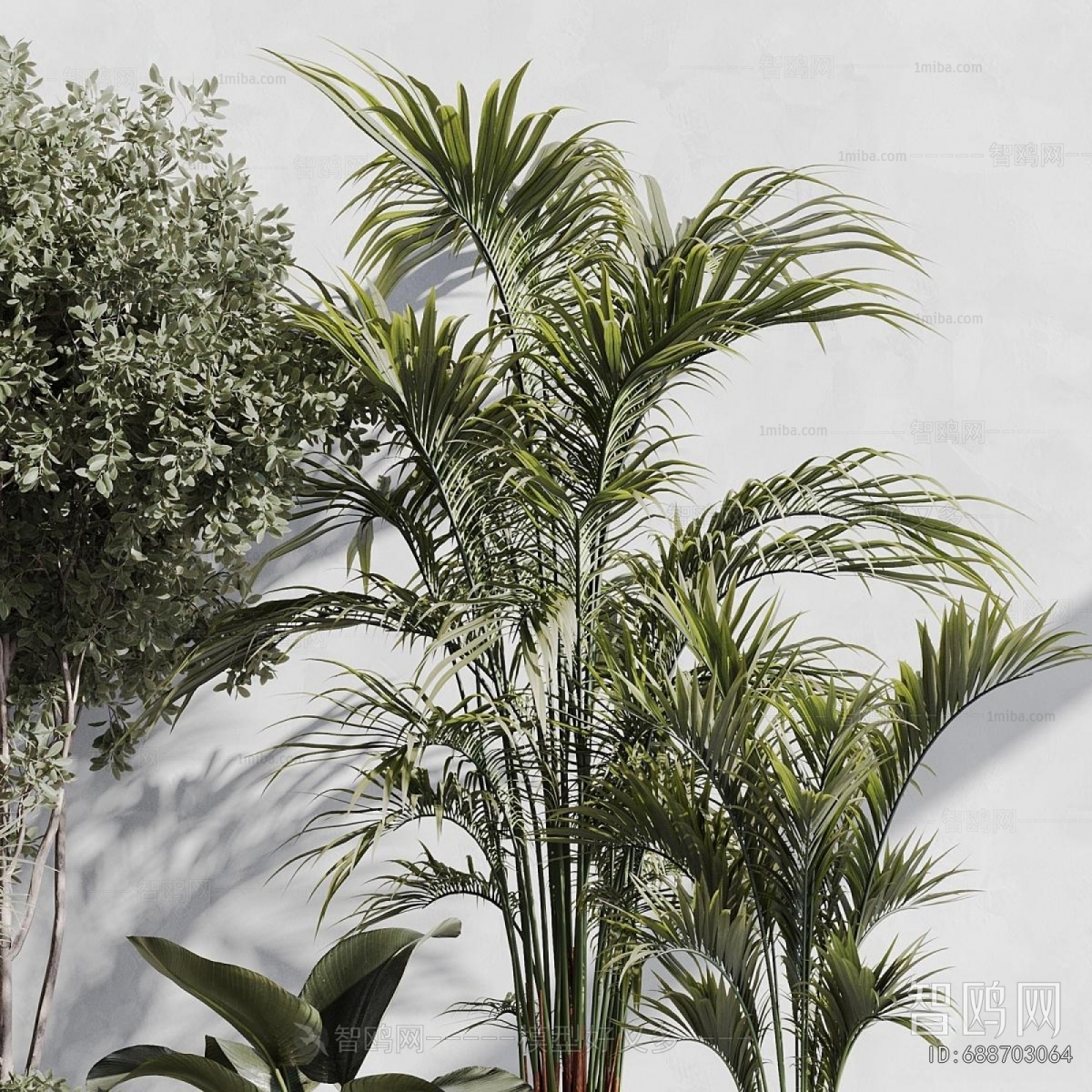 Modern Ground Green Plant Potted Plants