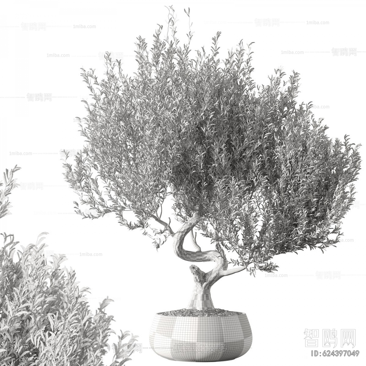 Modern Ground Green Plant Potted Plants