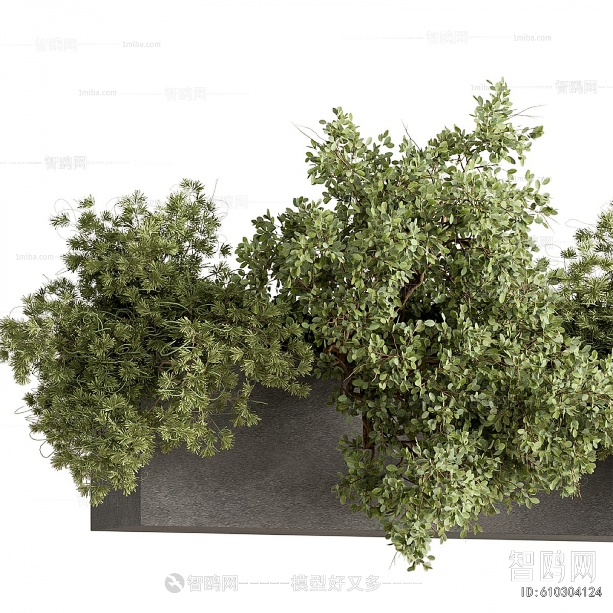 Modern Shrubbery