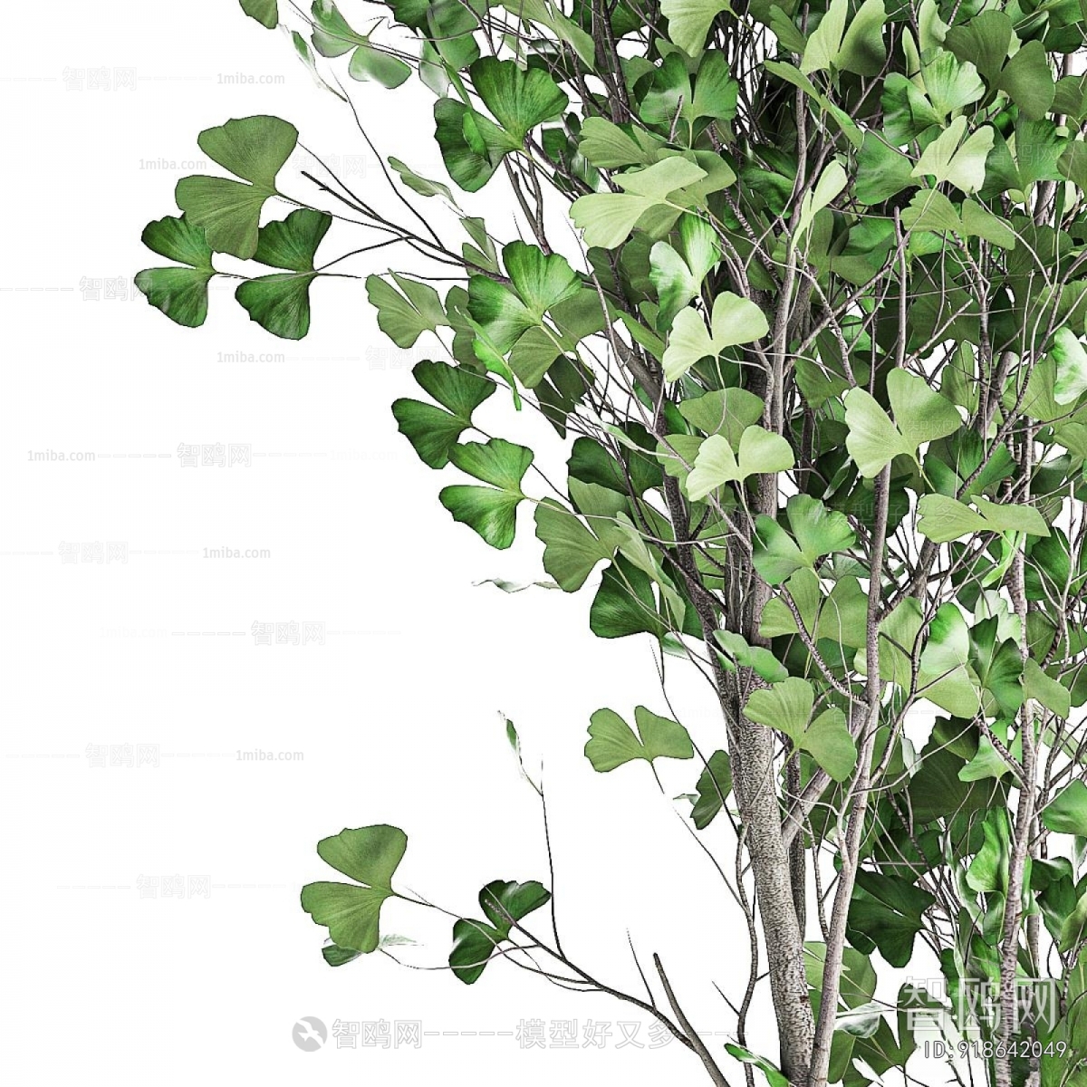 Modern Ground Green Plant Potted Plants