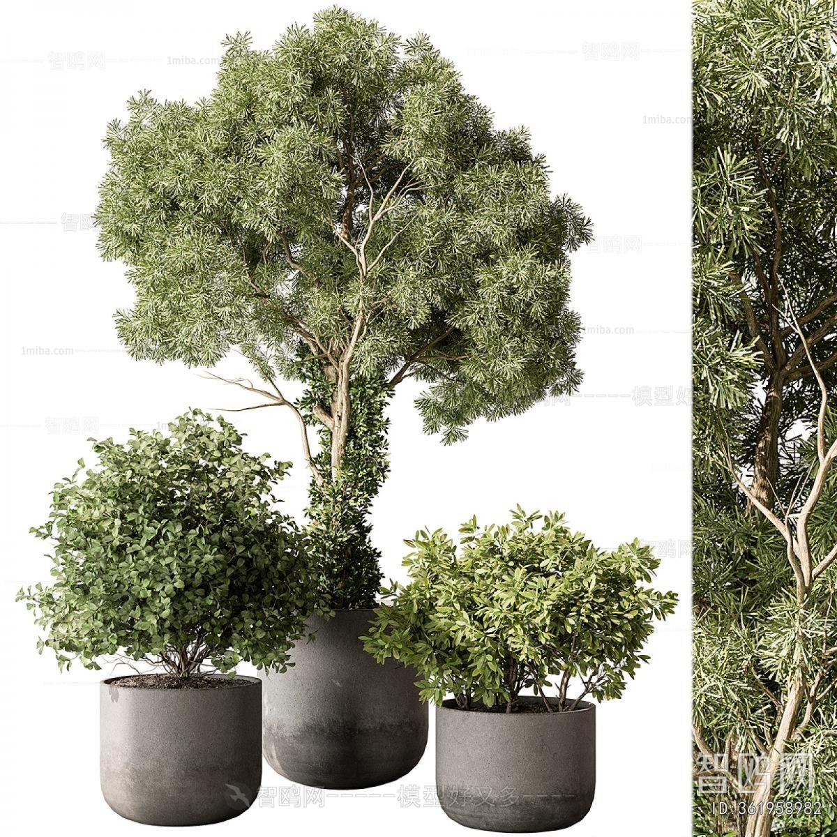 Modern Ground Green Plant Potted Plants