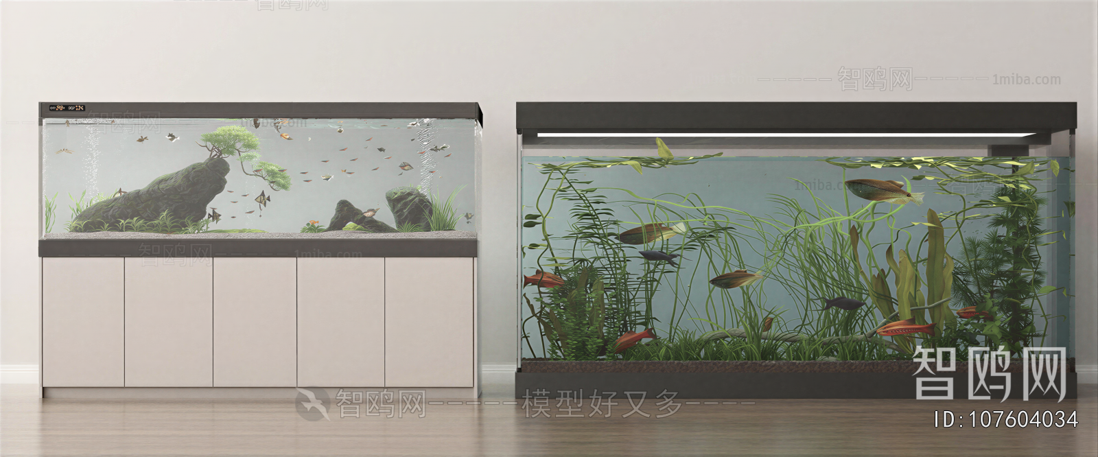 Modern Fish Tank