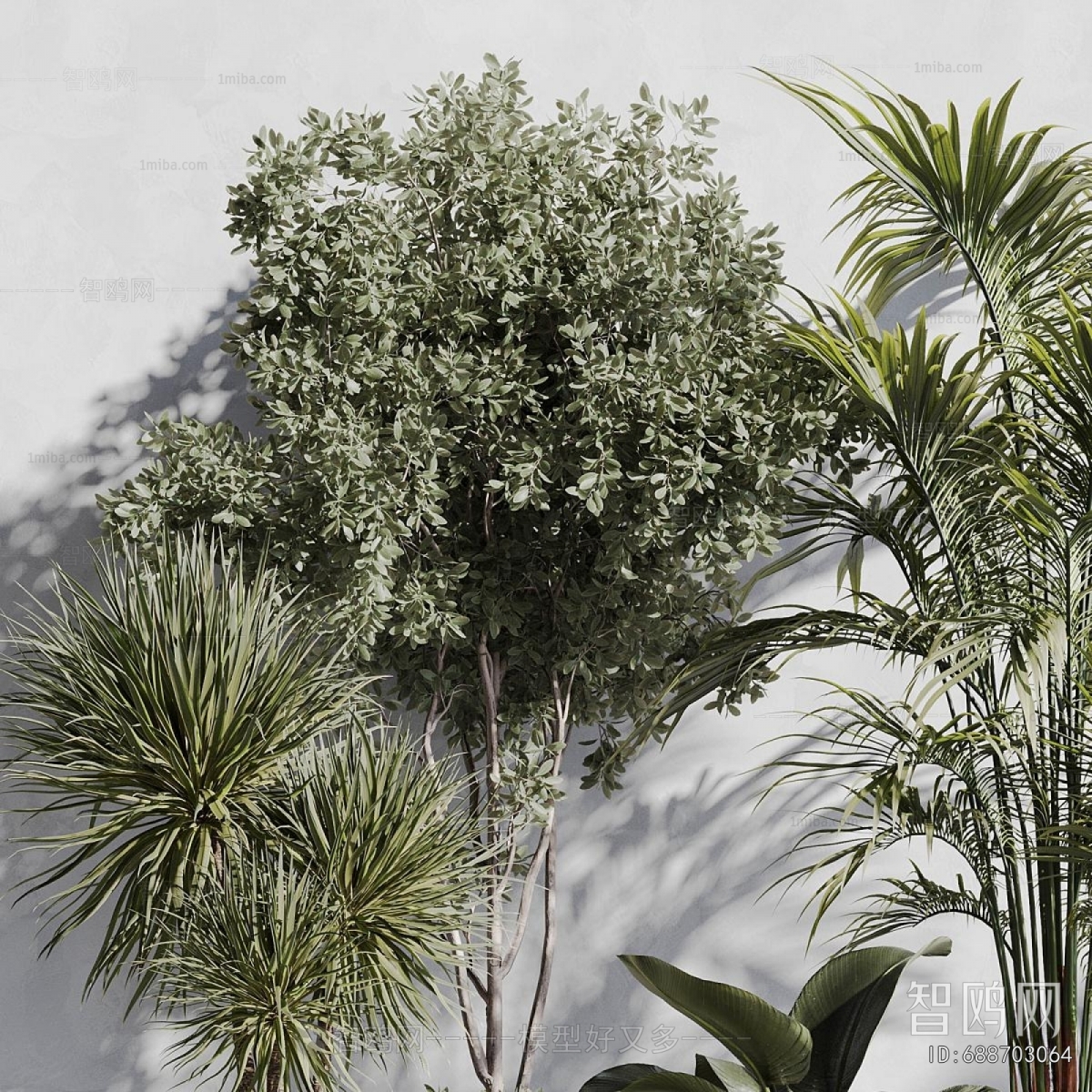 Modern Ground Green Plant Potted Plants