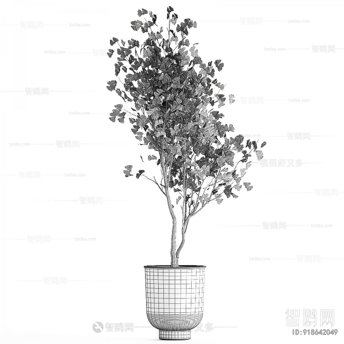 Modern Ground Green Plant Potted Plants