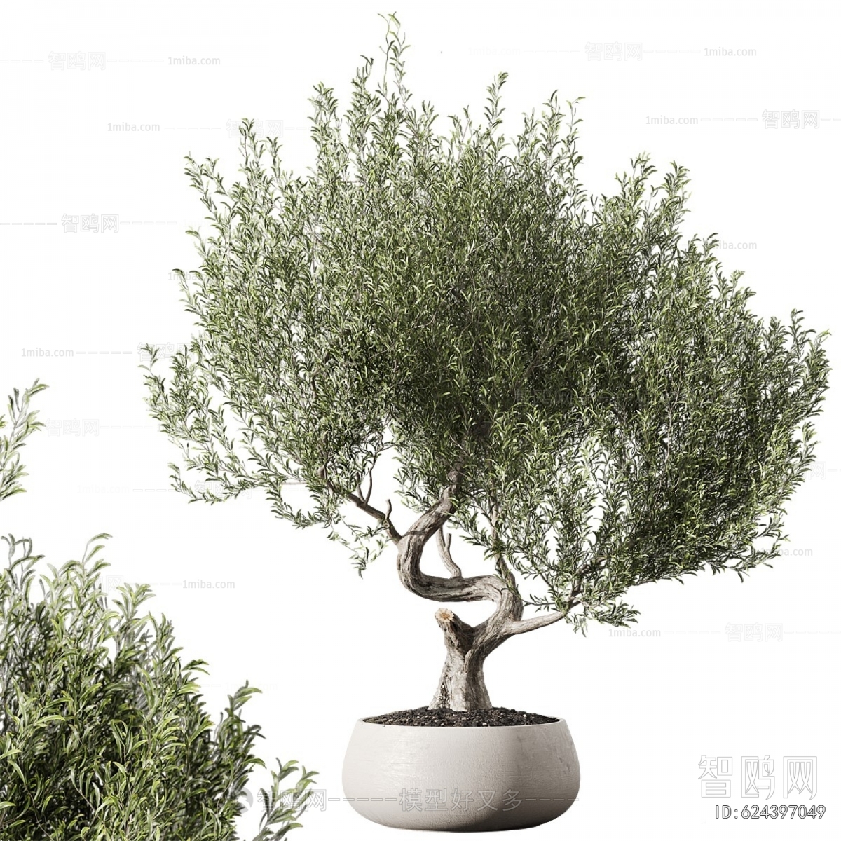 Modern Ground Green Plant Potted Plants