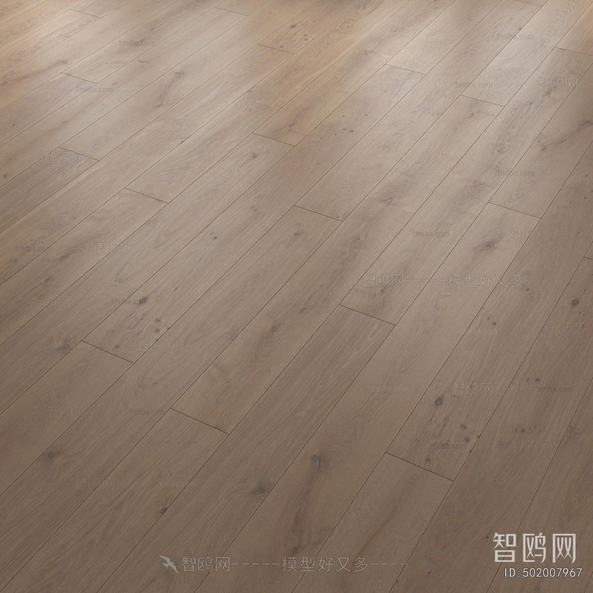 Modern Floor