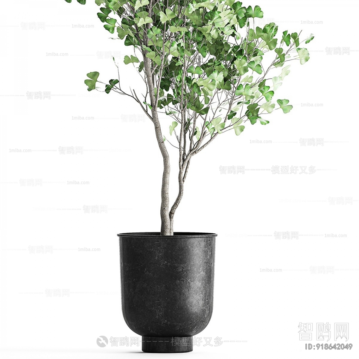 Modern Ground Green Plant Potted Plants