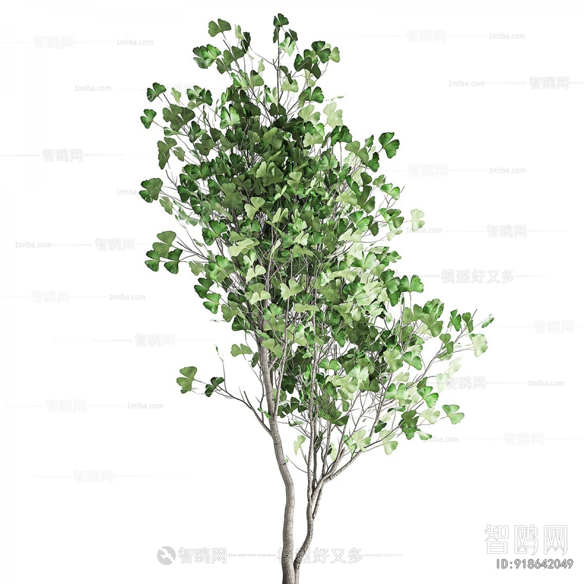 Modern Ground Green Plant Potted Plants