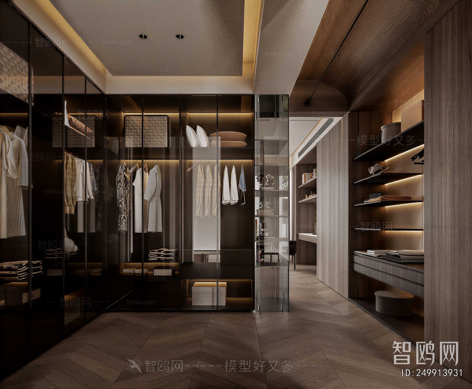 Modern Clothes Storage Area