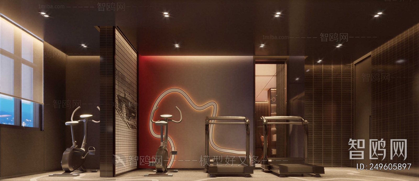 Modern Home Fitness Room