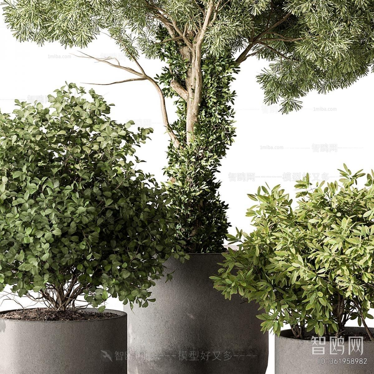 Modern Ground Green Plant Potted Plants