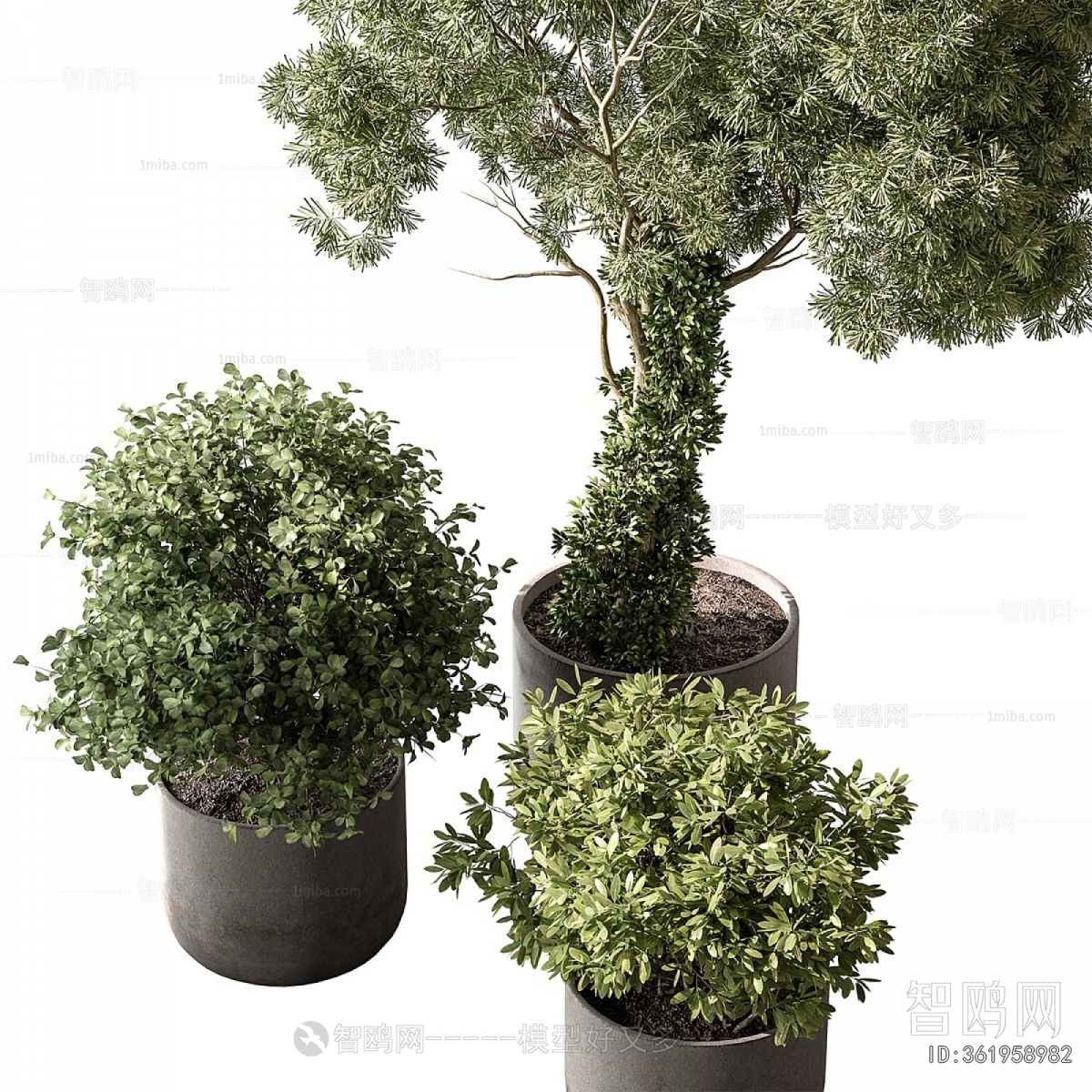 Modern Ground Green Plant Potted Plants