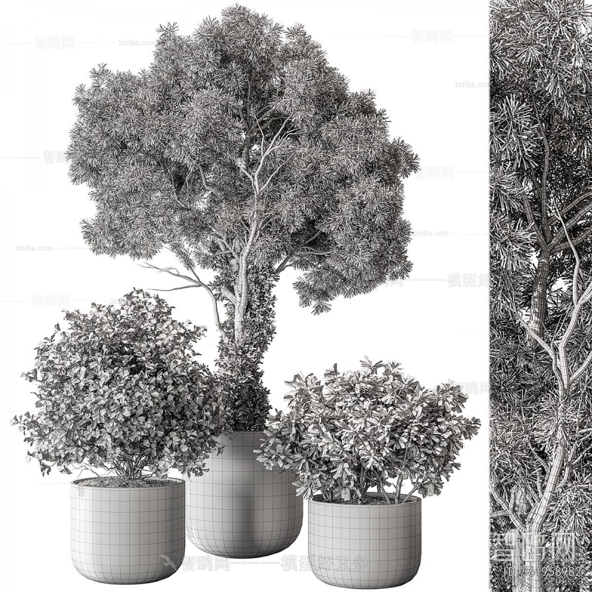 Modern Ground Green Plant Potted Plants