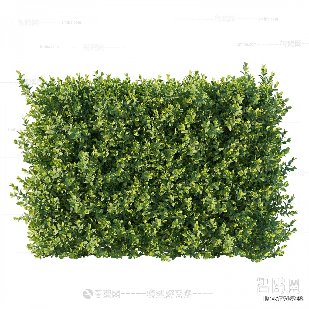 Modern Shrubbery