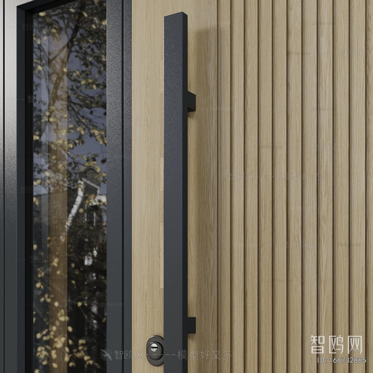 Modern Entrance Door