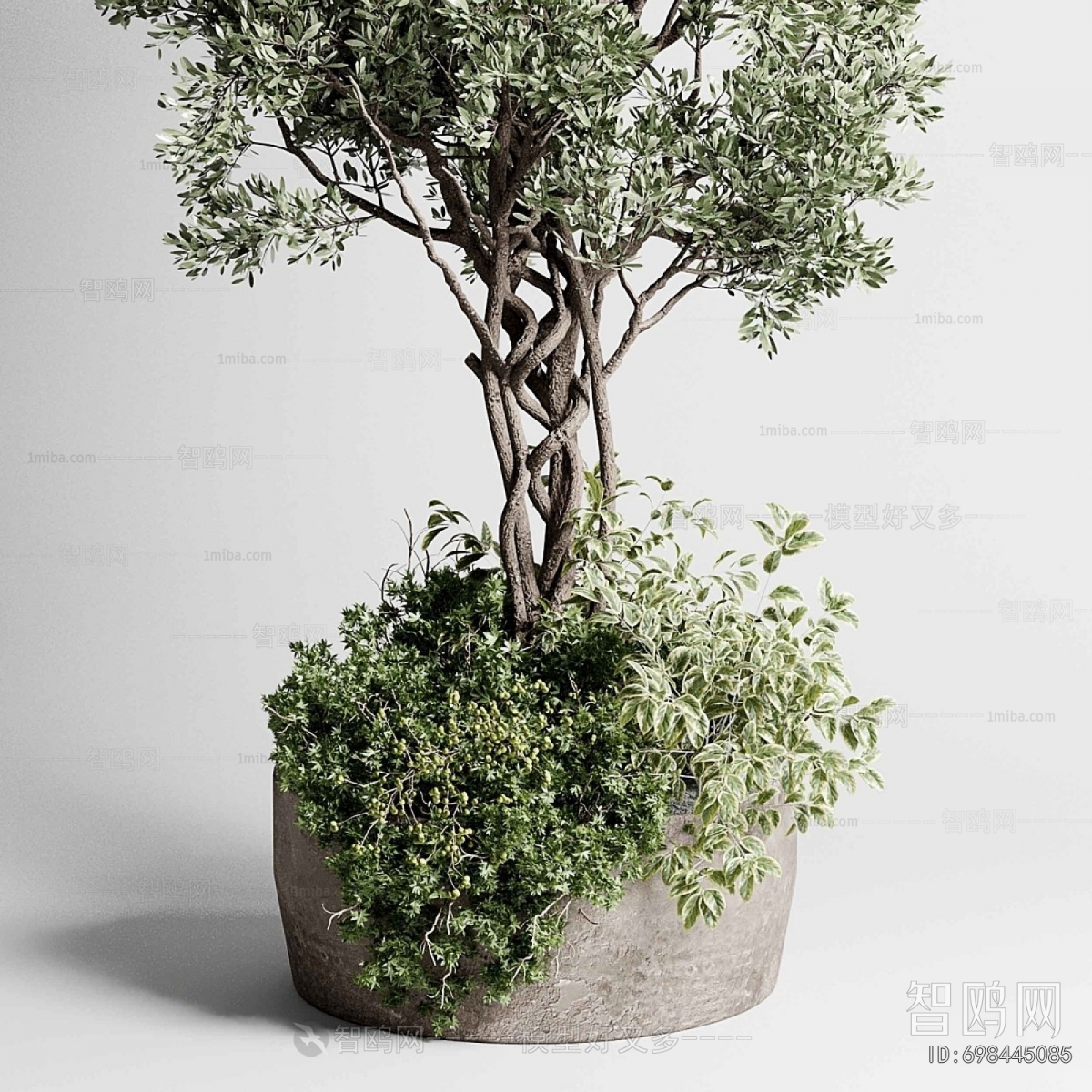 Modern Ground Green Plant Potted Plants
