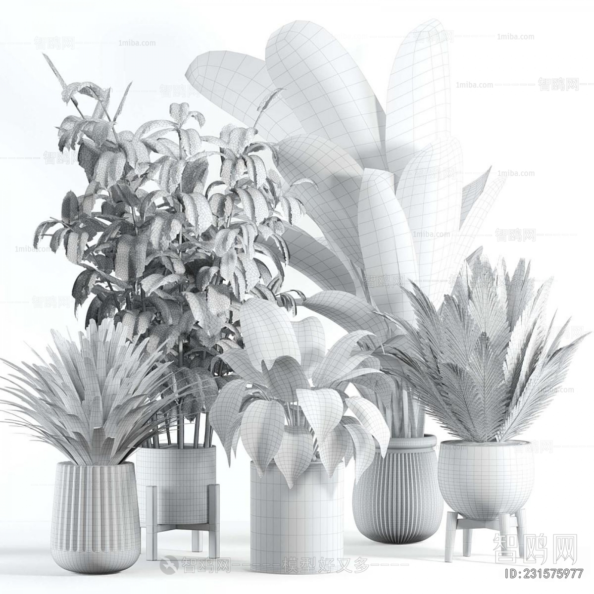 Modern Ground Green Plant Potted Plants