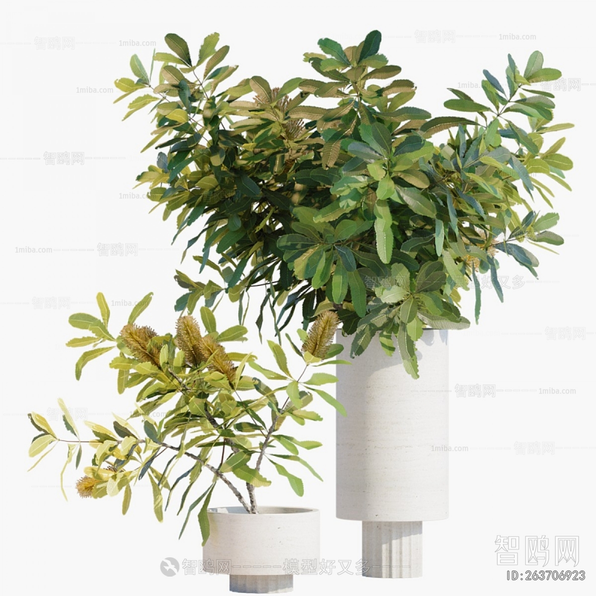 Modern Aquatic Green Plant