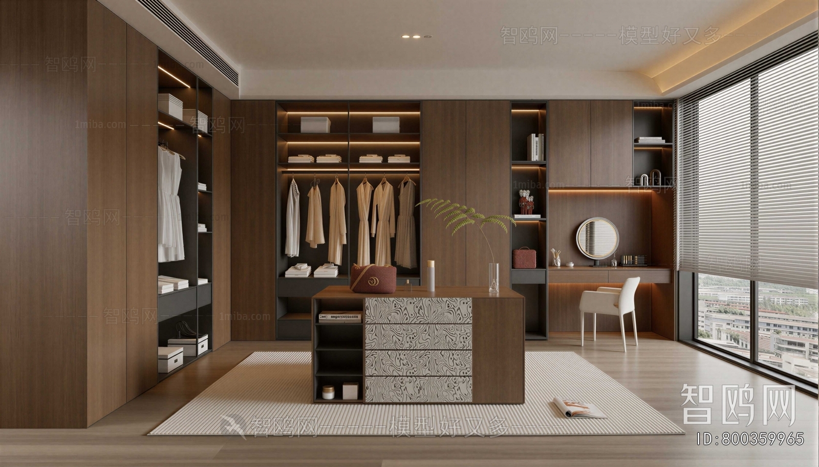 Modern Clothes Storage Area