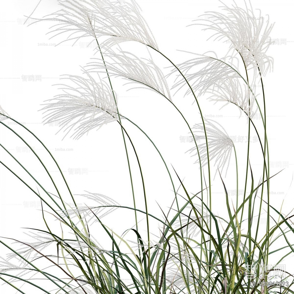 Modern Flowers And Grass