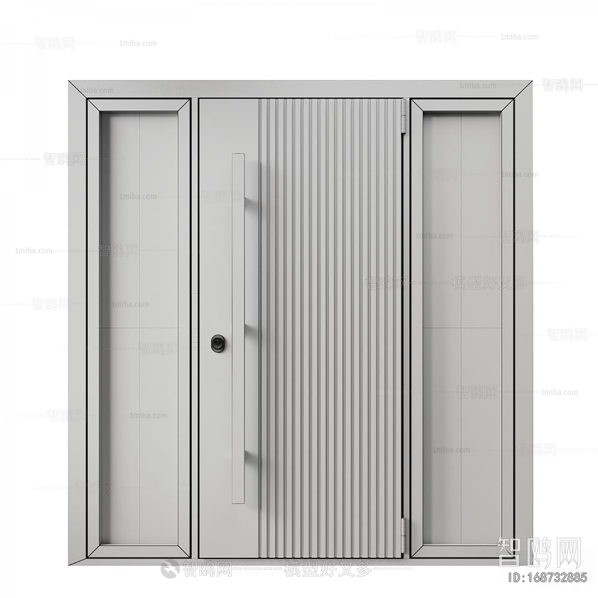Modern Entrance Door