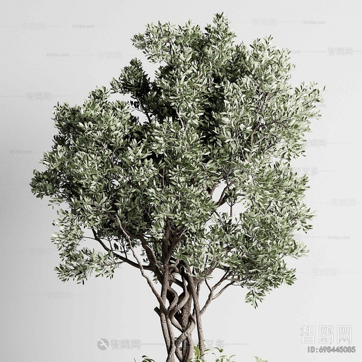 Modern Ground Green Plant Potted Plants