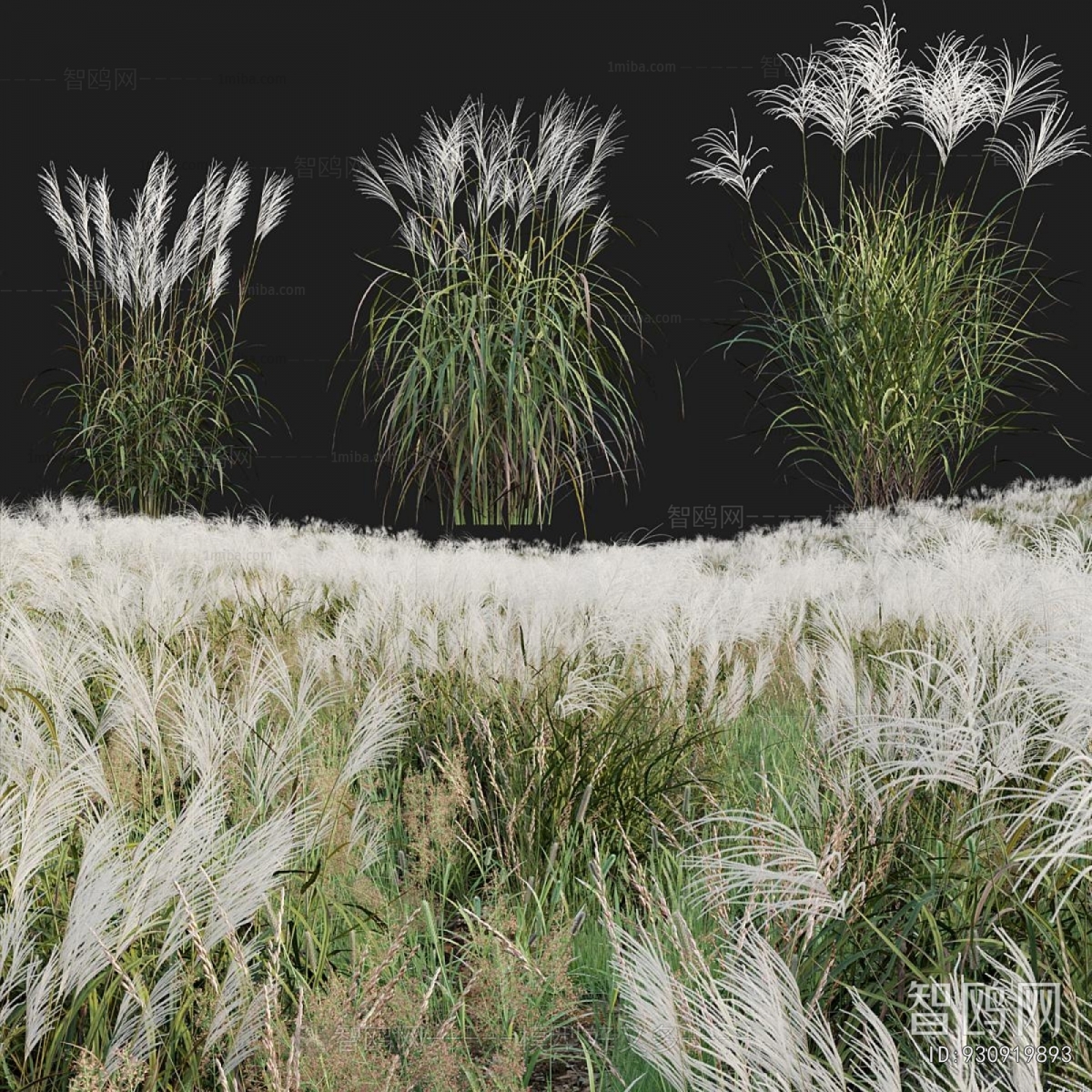 Modern Flowers And Grass