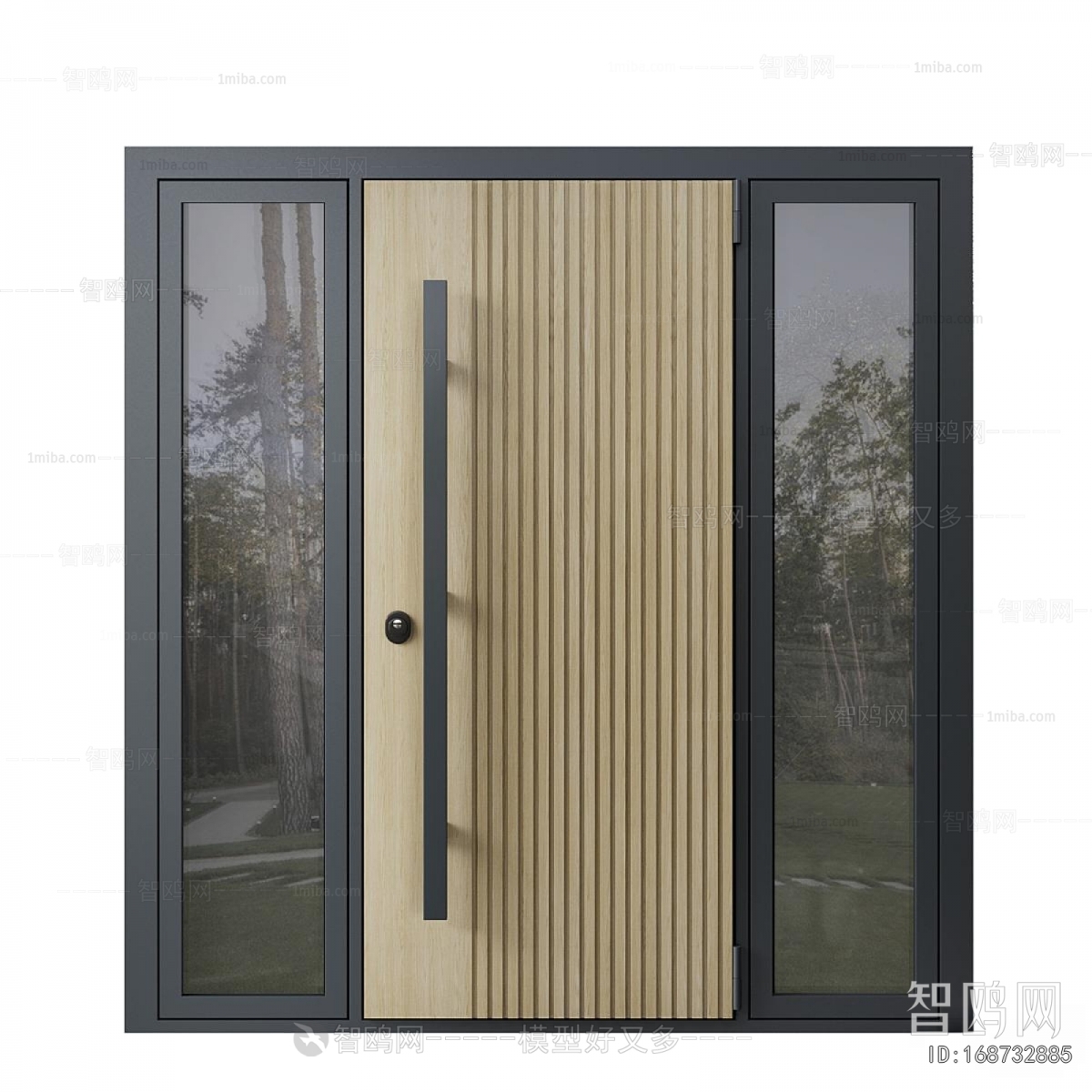 Modern Entrance Door