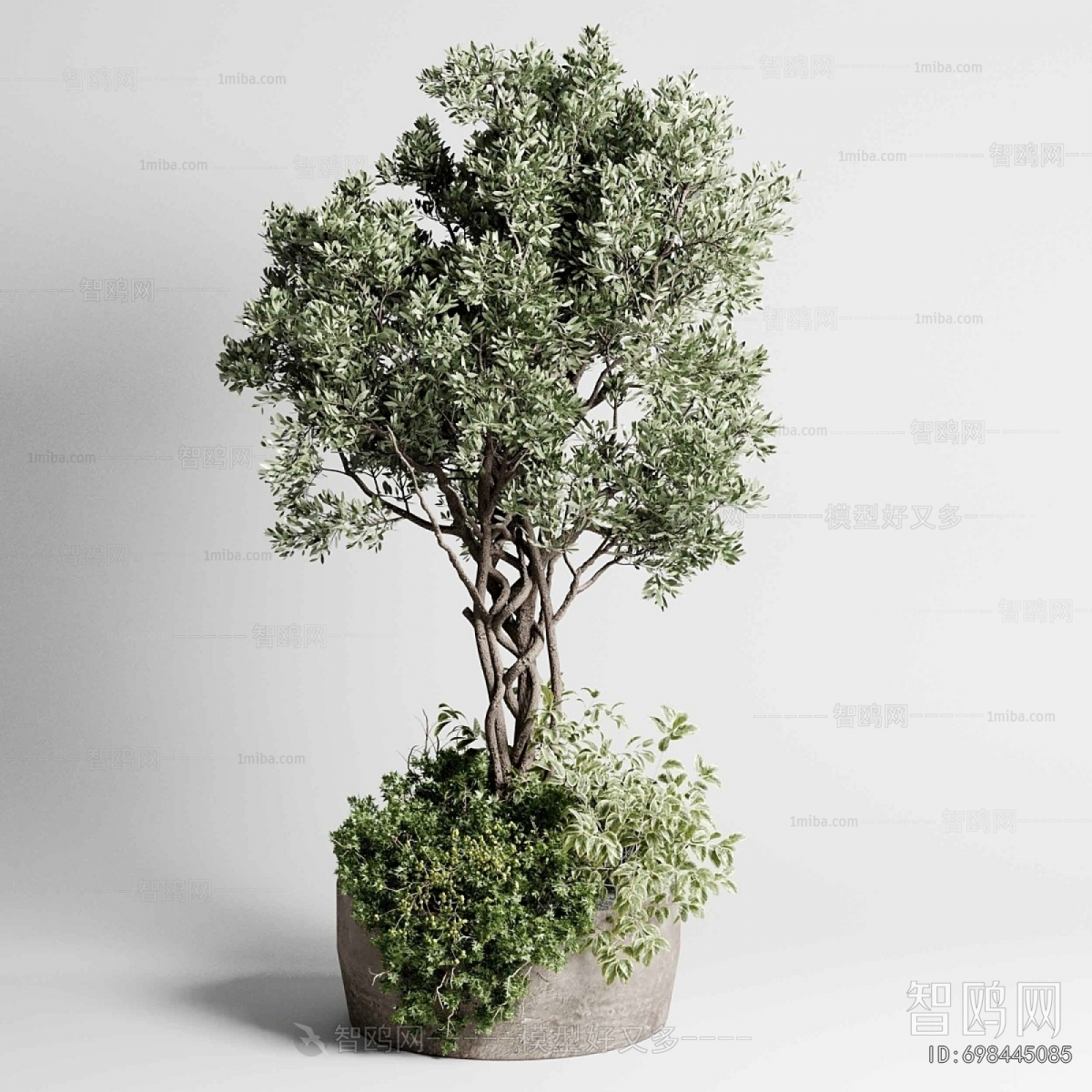 Modern Ground Green Plant Potted Plants