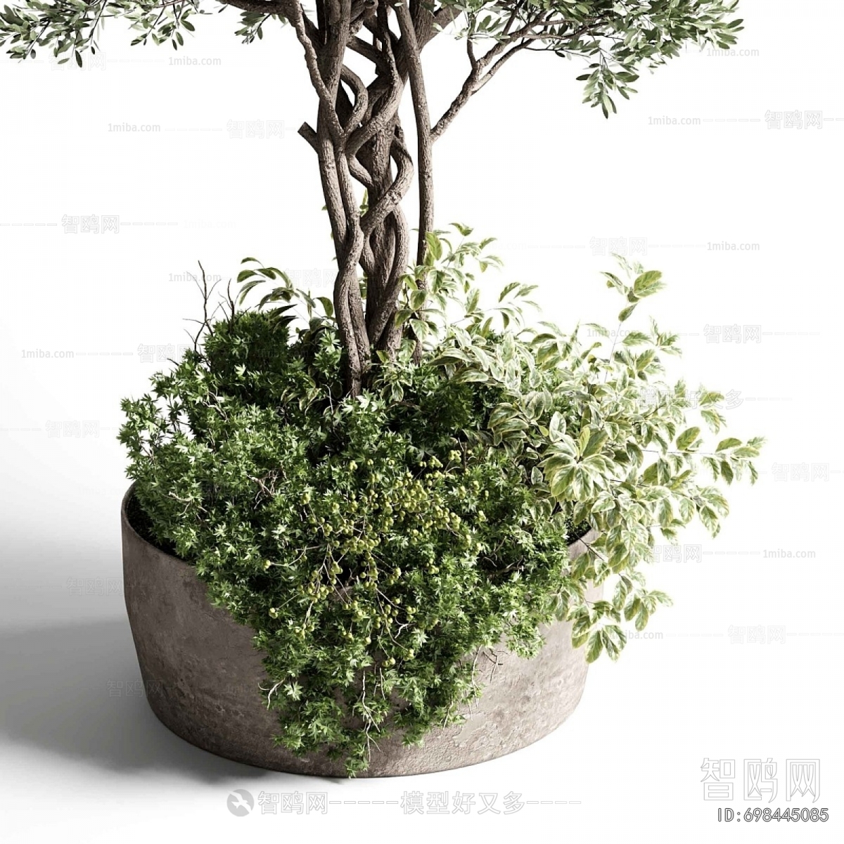 Modern Ground Green Plant Potted Plants